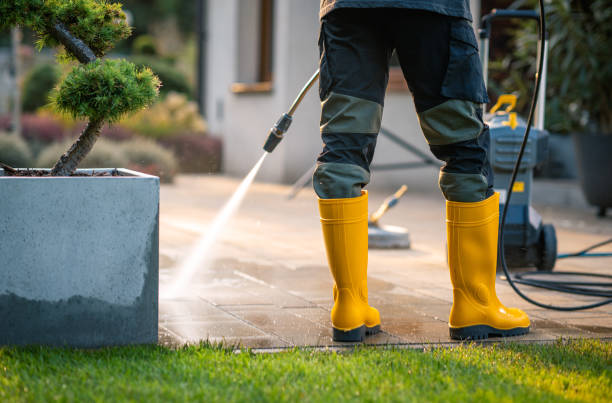 Best Local Pressure Washing Services  in Miami Beach, FL